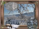 winters beauty
