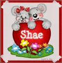 Valentine Bears w/ Shae Name