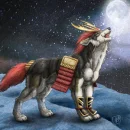 Random Wolf