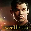 emmett