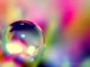 bubble.rainbow