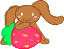 scribble teddy