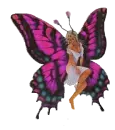 Butterfly fairy