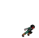 Rock Lee