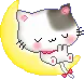 sleeping cat