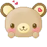 cute teddy