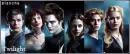 TWILIGHT SAGA