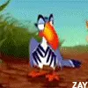 Zazoo