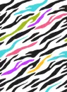 zebraa