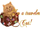 Im a Traveler Cat!