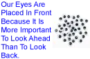 Eyes