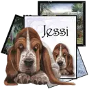 Basset Hound for Jessi