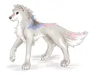 Kasey(Best Friend) In Her Wolf Form
