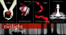 The Twilight Saga