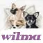 wilma chi avatar
