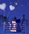 night