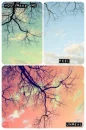 pretty