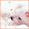 cute