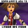 Sora