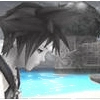 Sora