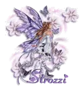 Strozzi - Lavender Fairy