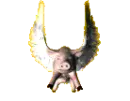 When Pigs Fly