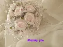 missing you