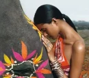 India 