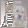 gia