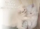 your friendship