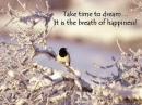 dream