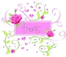 tracy 