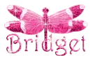 hot pink dragonfly bridget