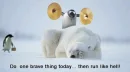 lol funny