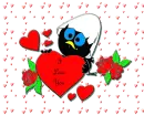CalimeroLove