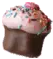 Choco Cupcakes 
