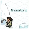 Snowstorm ;]