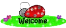 Ladybug Welcome