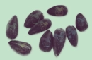 Hamtaro Seeds