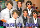 jonas bros