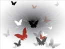 butterflies