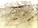 life goes on