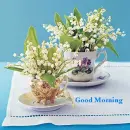 Good morning