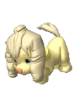 puppy sniffing 