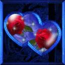 Rosses