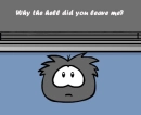 Why the hell did you leave me?