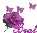 brat rose butterfly 
