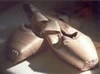 ballerina shoes