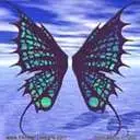 fairy wings