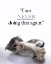 Never again